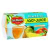 Del Monte Del Monte In 100% Juice Mixed Fruit 4 oz. Plastic Bowl, PK24 2002265